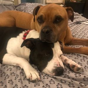 Meet your Posher, Heather